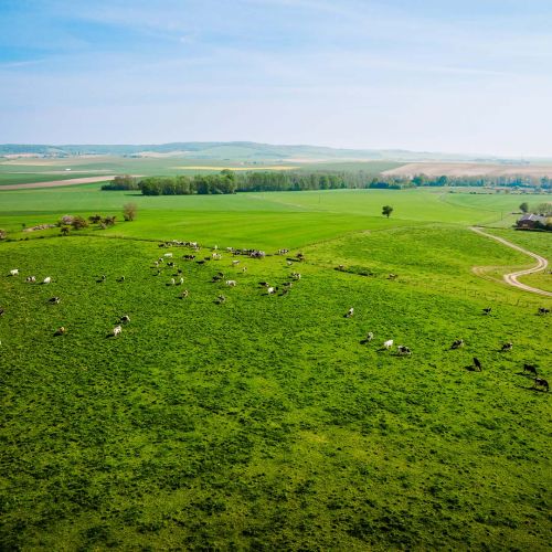 La Ferme des Tourelles Photo 1968 près